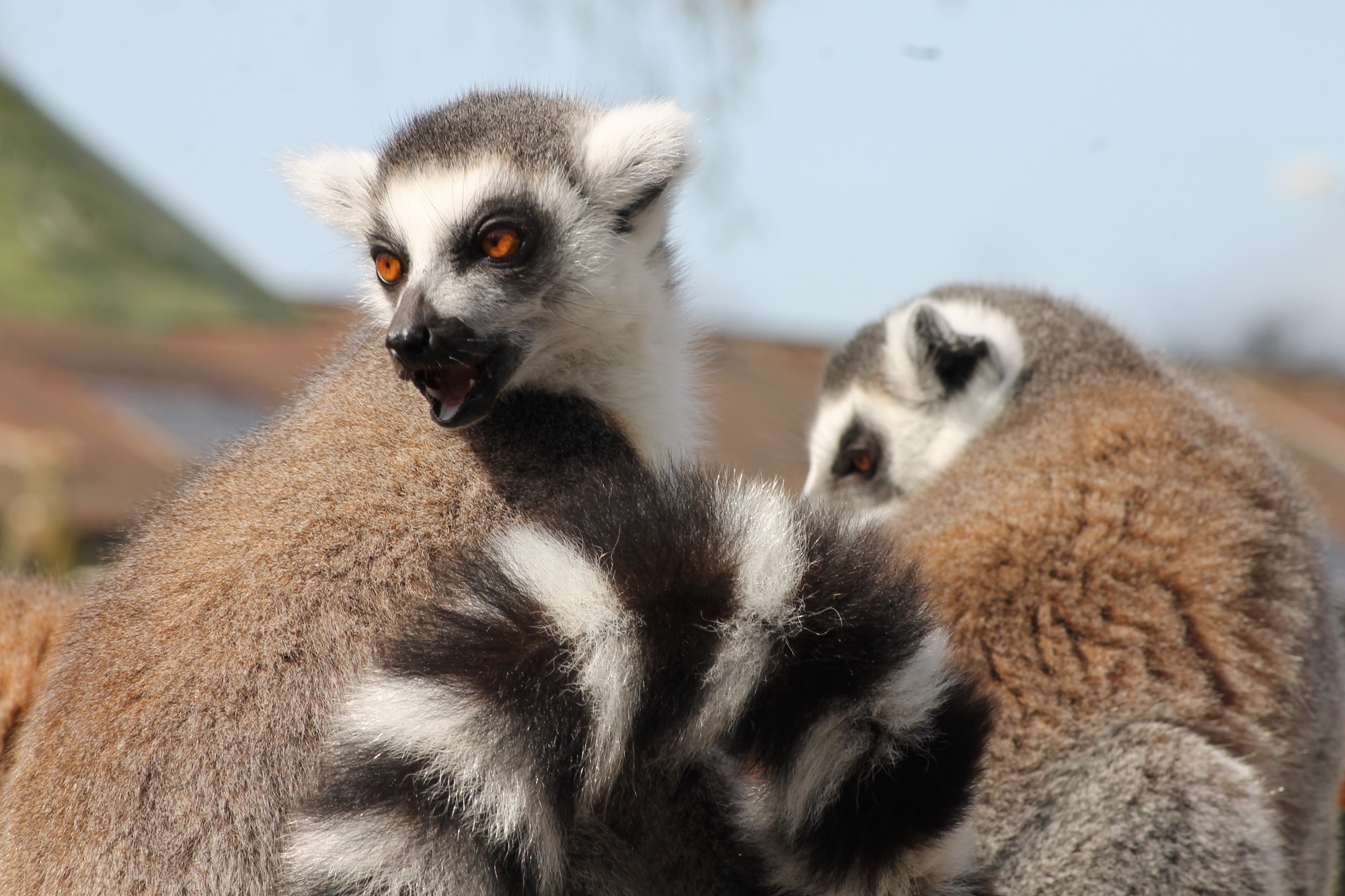 Worksop College Year 10 Art GCSE students take a trip to the Tropical
